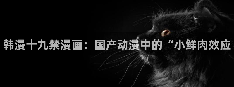 汗汗漫画免费漫画全集：韩漫十九禁漫画：国产动漫中的“小鲜肉效应