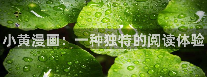 汗汗漫画网免费