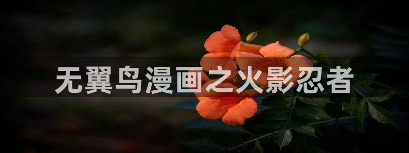 歪歪汗汗漫画网：无翼鸟漫画之火影忍者