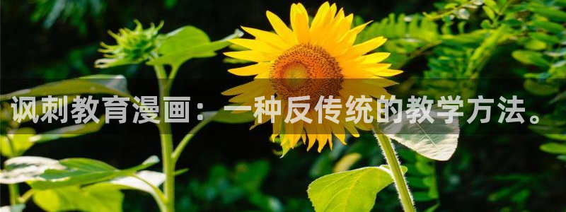 汗汗漫画51：讽刺教育漫画：一种反传统的教学方法。