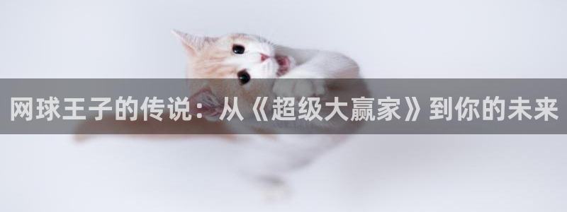 汗汗漫画下拉式：网球王子的传说：从《超级大赢家》到你的未来