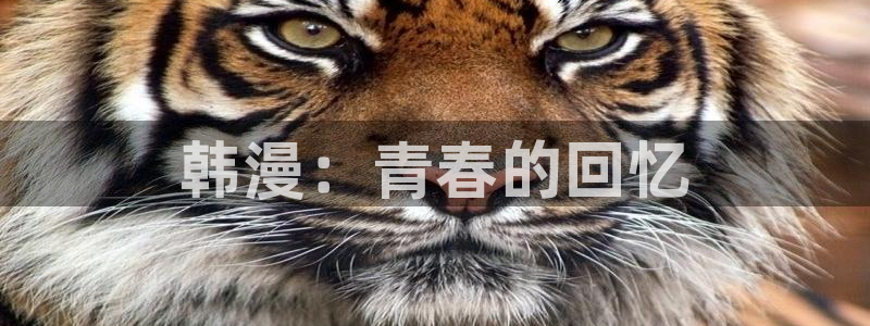 汗汗漫画首页限免：韩漫：青春的回忆