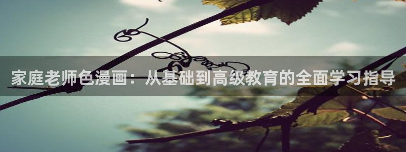 汗汗漫画污：家庭老师色漫画：从基础到高级教育的全面学习指导