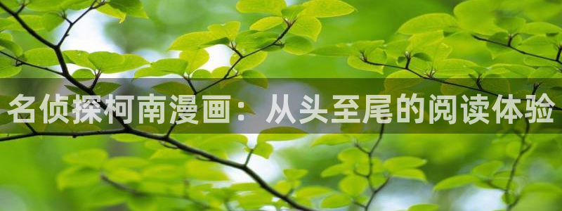 汗汗漫画韩：名侦探柯南漫画：从头至尾的阅读体验