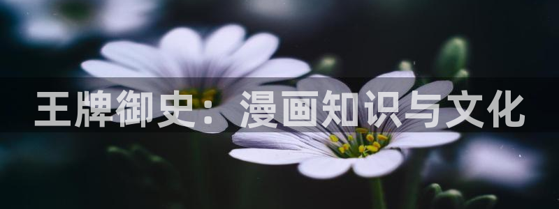 汗汗漫画网手机版：王牌御史：漫画知识与文化